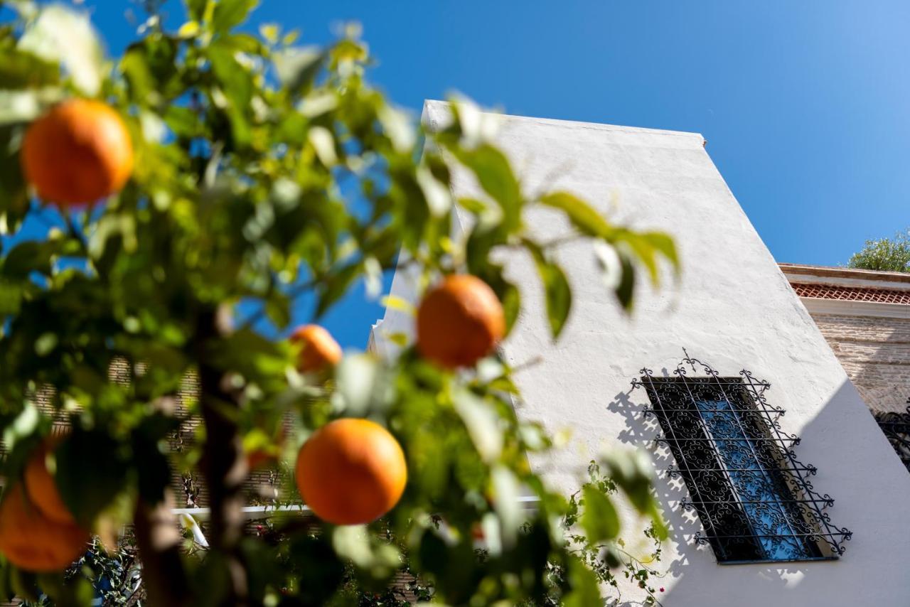 Pájaro Rebelde Bed & Breakfast Siviglia